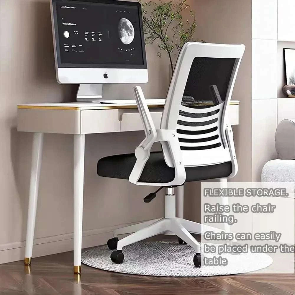 Home Office Ergonomic chair